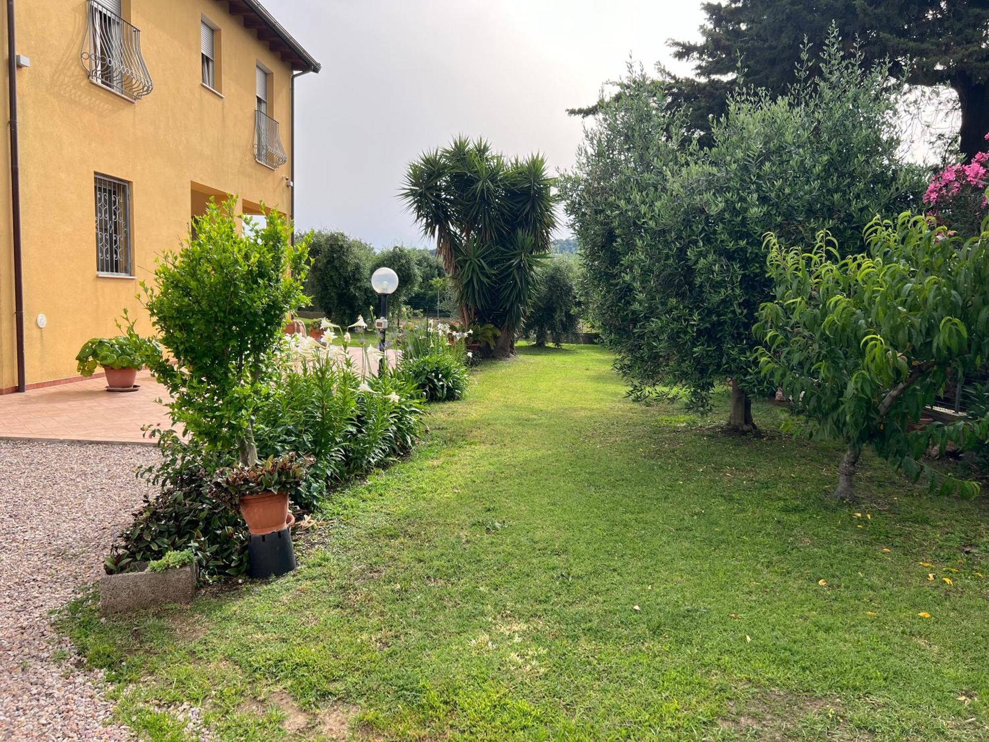 Agriturismo Il Giardino Degli Olivi Appartamenti كاستيغليون ديلا بيسكايا المظهر الخارجي الصورة