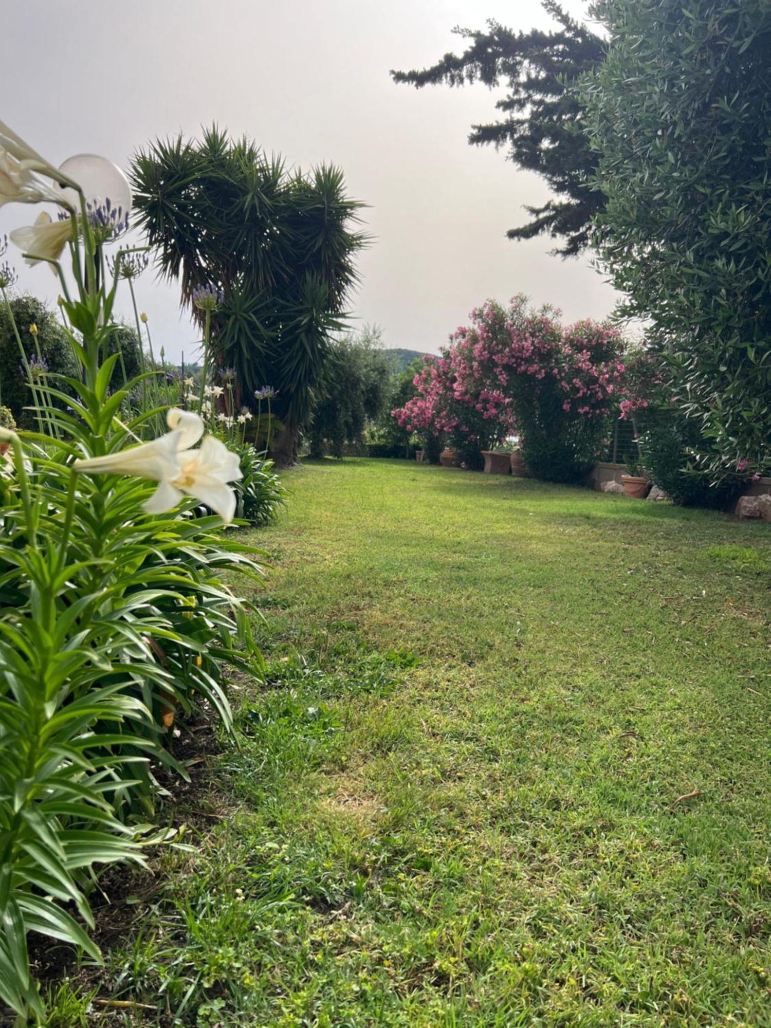 Agriturismo Il Giardino Degli Olivi Appartamenti كاستيغليون ديلا بيسكايا المظهر الخارجي الصورة